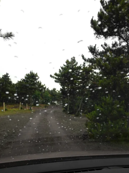 生···