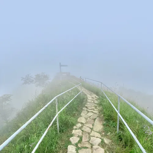 雾