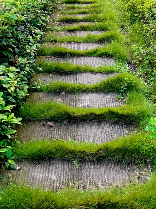 痒