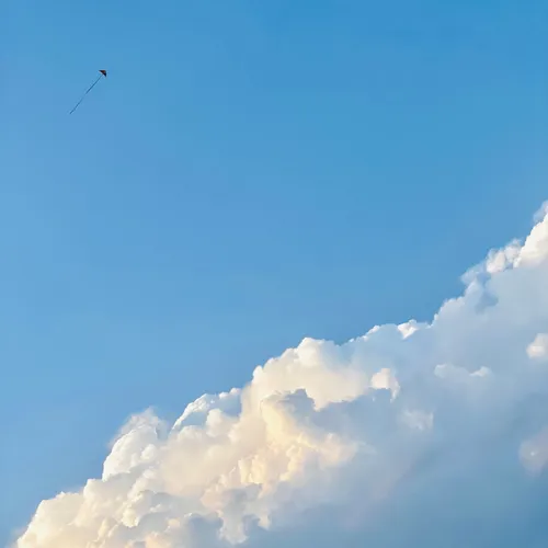 UP
